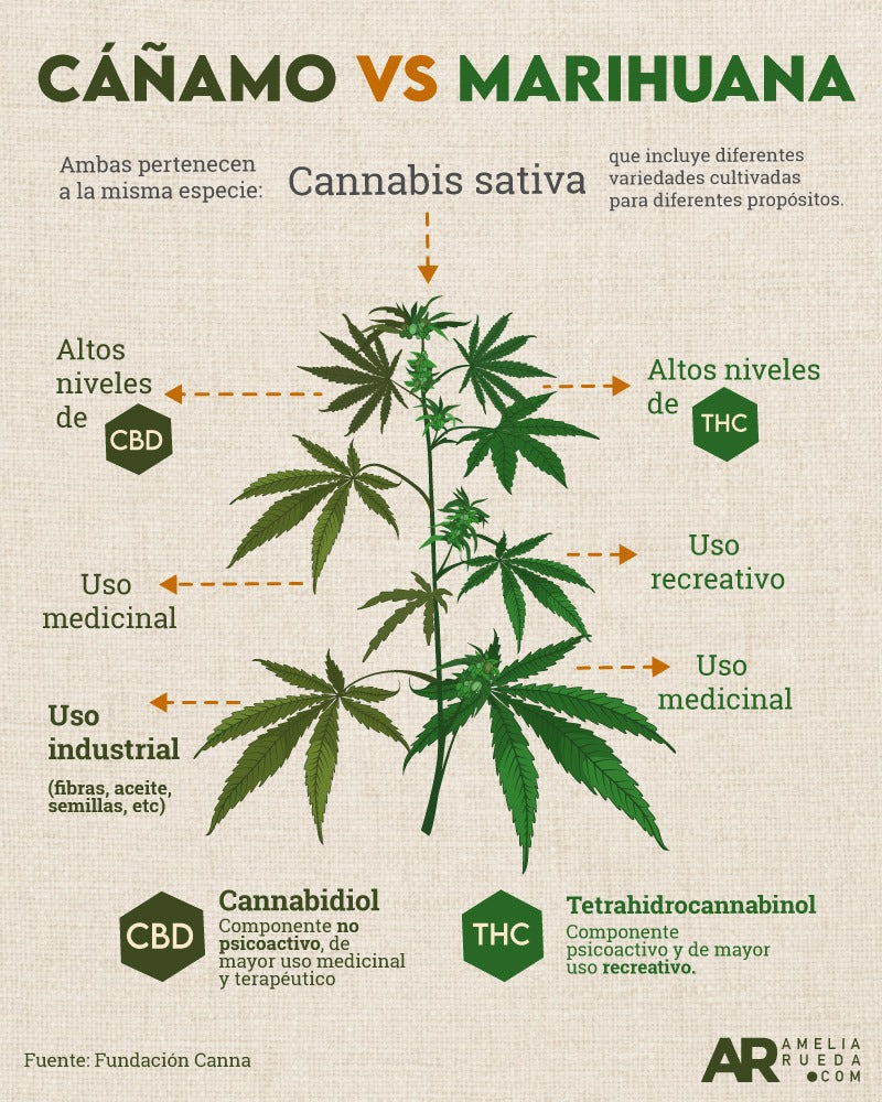 Diferencia entre cáñamo y marihuana